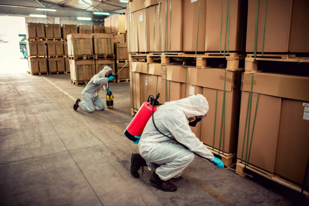 Best Affordable Pest Control Services  in Kemp, TX