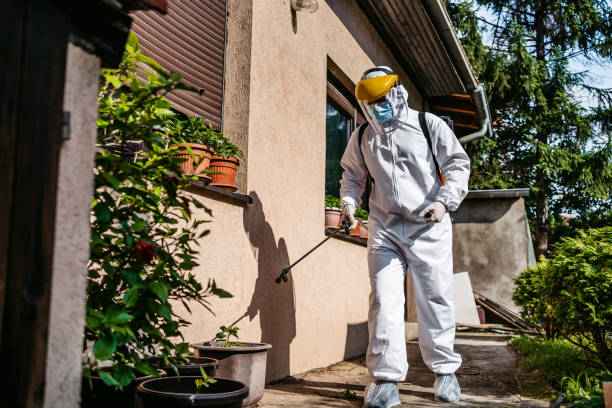 Best Pest Prevention Services  in Kemp, TX