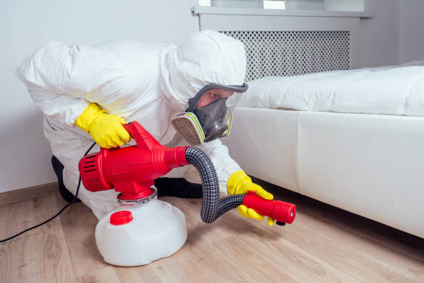 Best Best Pest Control Companies  in Kemp, TX