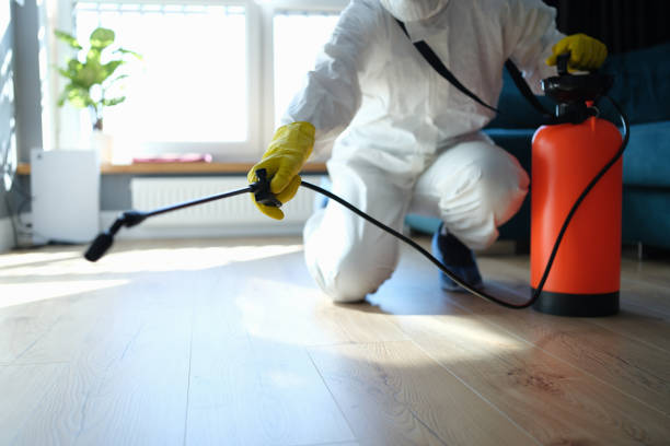 Reliable Kemp, TX Pest Control Solutions