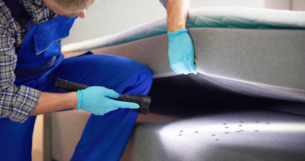 Best Emergency Pest Control  in Kemp, TX