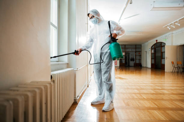 Best Termite Control Services  in Kemp, TX
