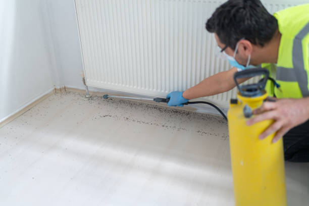 Best Affordable Pest Control Services  in Kemp, TX